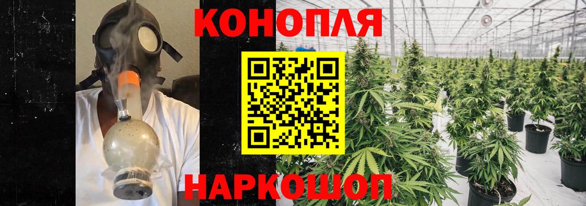 Каннабис White Widow Бор
